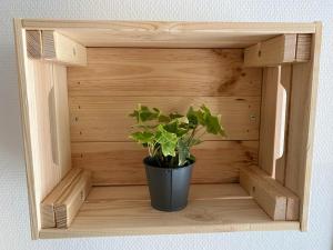 Appartements Appartement cosy en centre ville avec SPA et jardin : photos des chambres