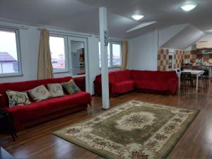 Apartament 5 camere cu balcon Costinesti plaja 5 minute Nucilor 6