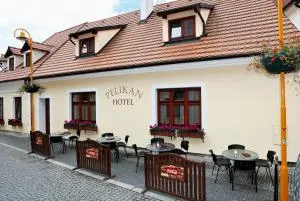 Hotel Pelikán - Chlum u Třeboně