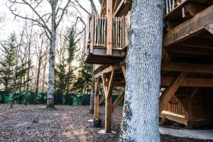 Chalets Charmante Cabane dans les arbres avec jacuzzi et sauna : photos des chambres