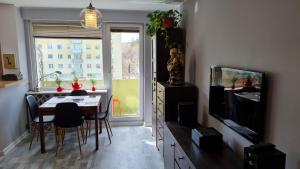 Apartament z widokiem na las