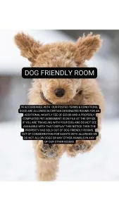 Queen City Inn - Brewer