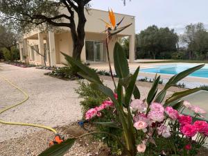 Resort Natura & Relax img28