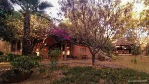 "Dulces Sueños" - Colcapirua