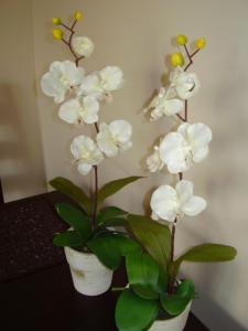 Apartament przy Rynku