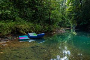 Drake Bay River View