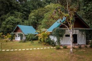 Drake Bay River View