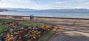 BodenSEE Apartments Kressbronn "HAUS AM SEEPARK"