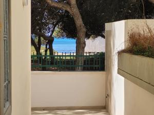 FRONTE PINETA MARE RIVABELLA