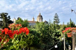 Don Giovanni Charme Apartment