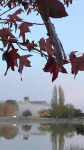 Maisons de vacances Bblodges Loches Beauval : photos des chambres