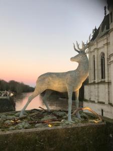 Maisons de vacances Bblodges Loches Beauval : photos des chambres