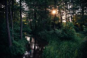 Na Piaskach Agroturystyka Domek pod Lipą