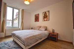 Appartements Maison LAMARTINE - Plein Centre-Ville Avec Garage & Jeux : photos des chambres