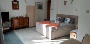 Studio apartman Palma