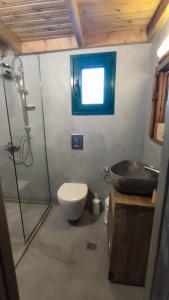 Traditional view apartment in Livadi Parnassos