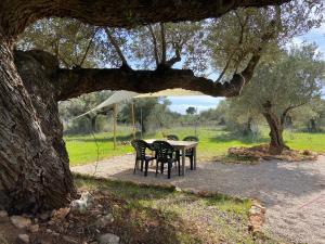 Paraiso Bell Tent - Glamping with Pool in Nature