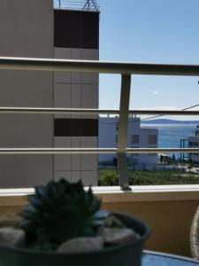 City Beach Apartment