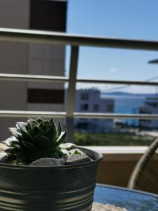 City Beach Apartment