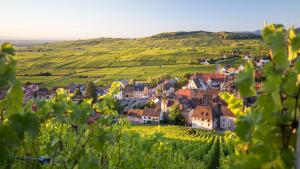 Maisons de vacances Cute house in Alsace : photos des chambres