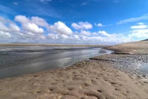 Maisons de vacances Les pieds dans l'eau... au chaud !!! : photos des chambres