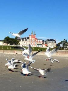 Maisons de vacances Les pieds dans l'eau... au chaud !!! : photos des chambres