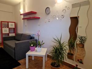 Apartman Sandro