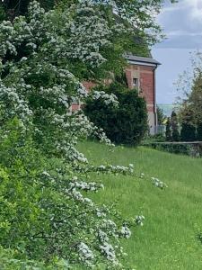 Domaine de Mont-Renaud