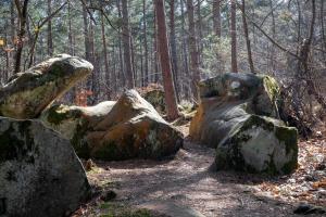 B&B / Chambres d'hotes Logisfontainebleau : photos des chambres