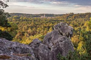 B&B / Chambres d'hotes Logisfontainebleau : photos des chambres