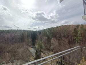 Apartament pod lasem