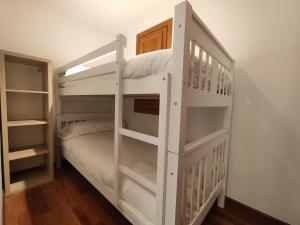 El floc de Neu - Camprodon