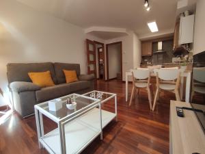 El floc de Neu - Camprodon