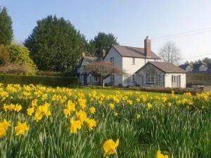 Lower House B&B Adforton - Bucknell