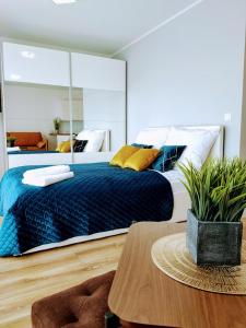 Apartament Suerte