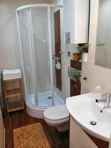 Apartament Alga Zator