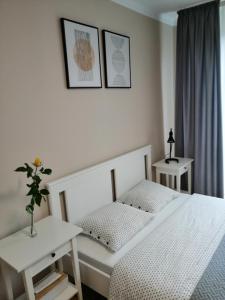 Apartament Alga Zator