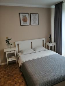 Apartament Alga Zator