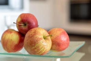 Vier-Jahreszeiten-Haus-I-Wohnung-21