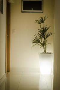 Hotel Gomes Freire (Adult Only)