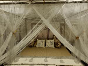 Jaseelo Camps & Resort