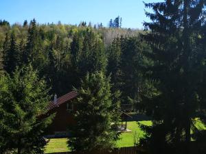 Casa de Vacanta Dintre Brazi