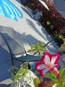 O'Parad'îles - 戈亚夫