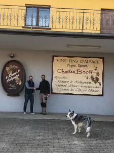 Sollaris Appartements 3P 1ere etage a 11km d'Europa-Park : photos des chambres