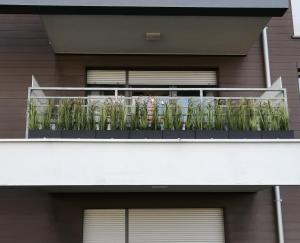 Apartment LILY - Baltic Park Pogorzelica