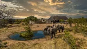 Imagine Africa Luxury Tented Camp - Rezervace Balule