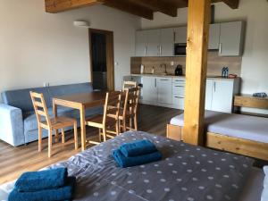 Apartment with Terrace room in ANICO apartmány