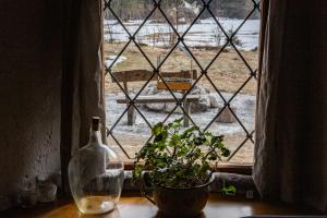 Marko's eco cabin 