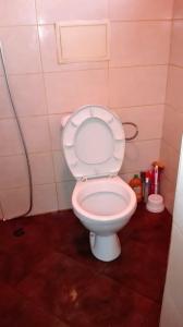 1 room in Nikea Park apartaments