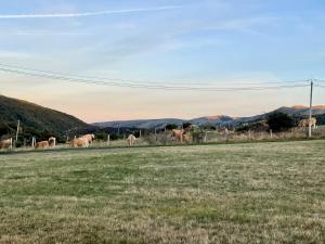 Maisons de vacances Maison renovee en plein coeur des Cevennes : photos des chambres